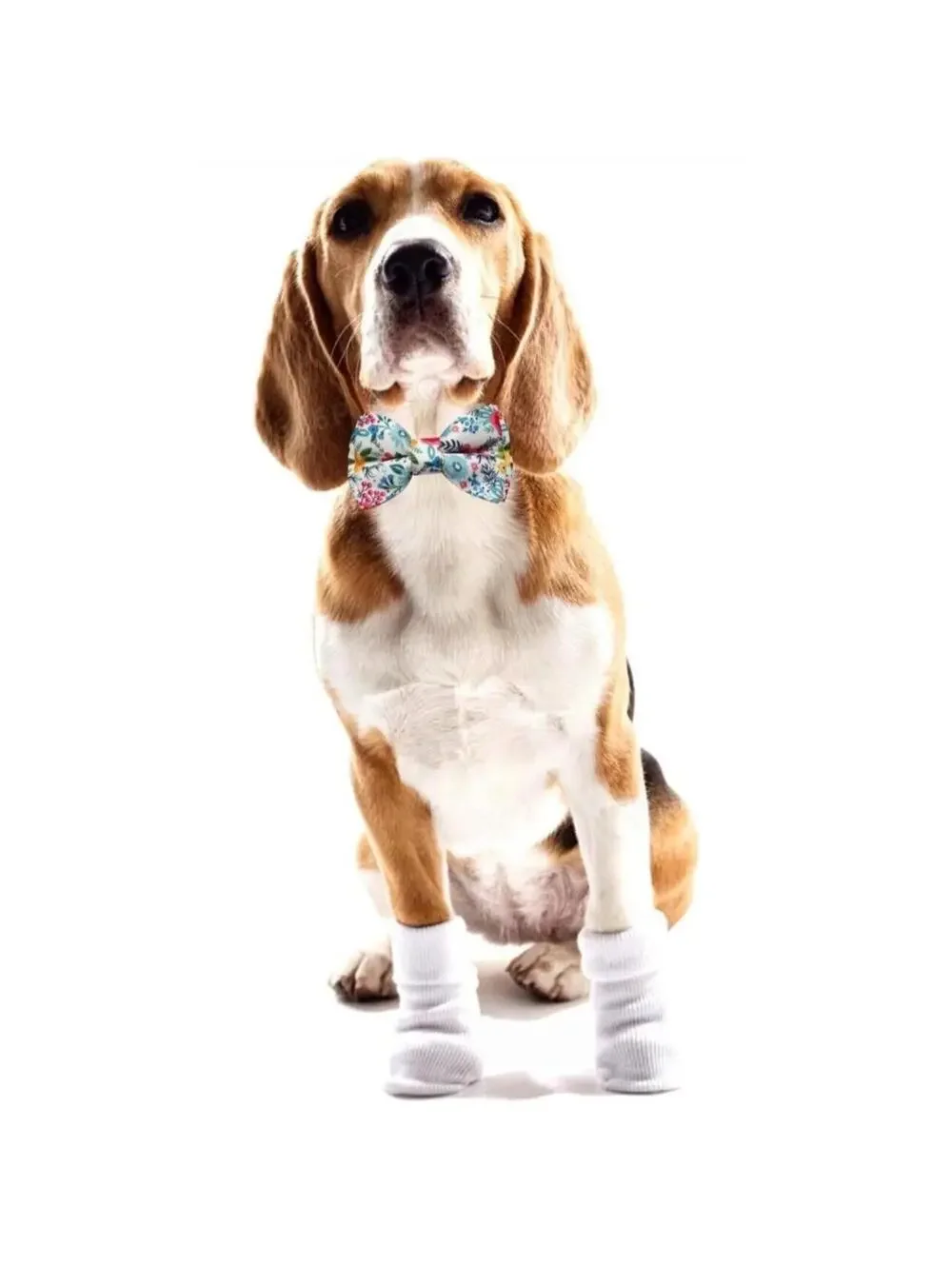 Dog Bow Tie Pet Collar, Blue Floral Metal Buckle Dog Collar, Adjustable Medium